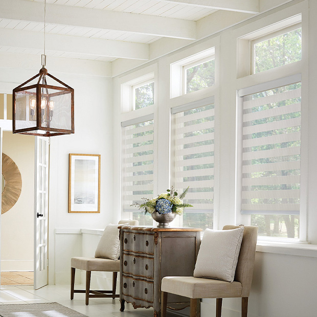 Transitional shades in a Indianapolis living room