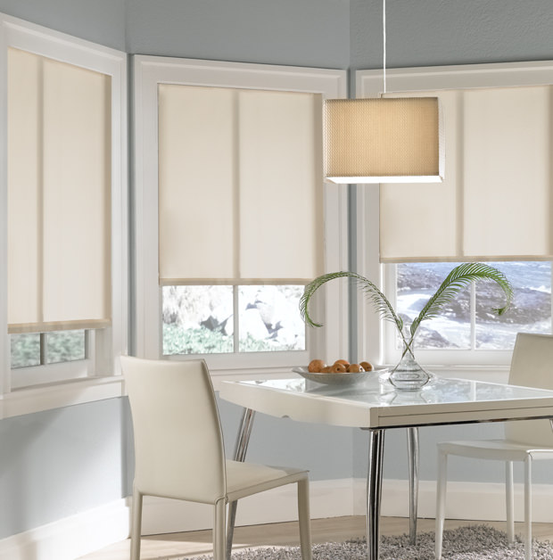 Roller shades in Indianapolis